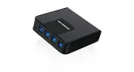 IOGear-GUS434