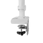ERGOTRON-45-491-216