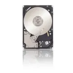 SEAGATE-ST300MM0026