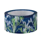 Cisco-STK-RACK-DINRAIL=