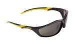 DeWalt-DPG96-2C