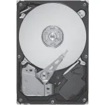 SEAGATE-ST9300605SS