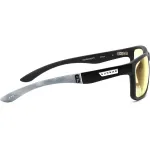 GUNNAR-INT-09101
