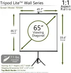 Elite Screens-T65SW
