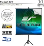 Elite Screens-T65SW