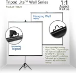 Elite Screens-T65SW