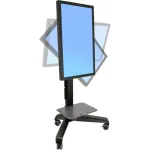 ERGOTRON-ERGOTRON