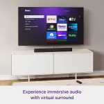Roku-9101R2