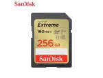 Western Digital-SDSDXVV-256G-GNCIN