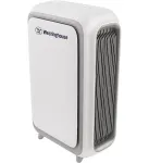 Westinghouse Lighting-WES-WH100P