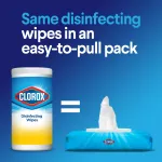 CLOROX-CLO 31404
