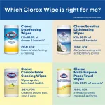 CLOROX-CLO 31430