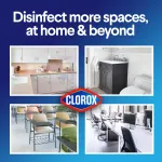 CLOROX-CLO 31430