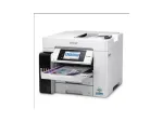EPSON-C11CJ29203