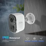 Adesso-CYBERVIEW2010