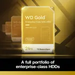 Western Digital-WD241KRYZ