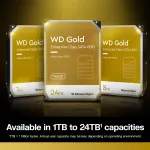 Western Digital-WD241KRYZ