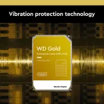Western Digital-WD241KRYZ