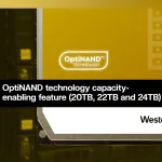 Western Digital-WD241KRYZ