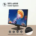 BENQ-GW2490
