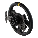 Moza-RS25