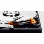 Western Digital-WD10EARZ