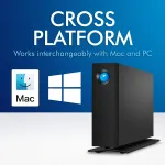 SEAGATE-STHA24000800