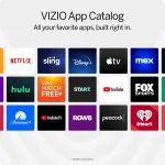 Vizio-M55Q6-L4