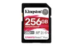 KINGSTON-SDR2V6/256GB