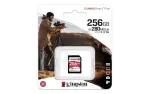 KINGSTON-SDR2V6/256GB