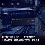 Western Digital-WDS800T2X0E