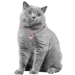 Vanco International-0002-1533