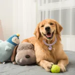 Vanco International-0002-1533