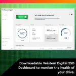 Western Digital-WDS250G2G0C