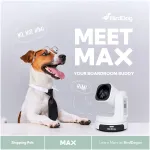 BirdDog-BDMAX-W
