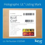 International Connectors and Cable Corp.-ICCABP6FBL