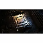 AMD-100-100001478WOF