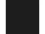 ADVANCED MICRO DEVICES-MICRTLN501