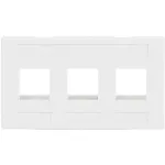 International Connectors and Cable Corp.-IC107FM3WH