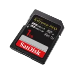 Western Digital-SDSDXEP-1T00-GN4IN