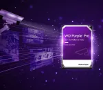 Western Digital-WD221PURP