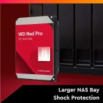 Western Digital-WD202KFGX