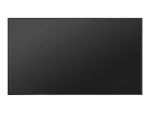 Hisense-75DM66D