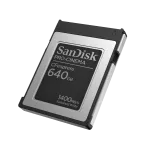 Western Digital-SDCFEC-320G-GN4NN