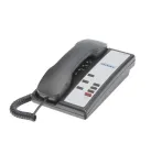 Cetis-TLD-NUG317391