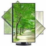 SHARP NEC-DD-EA241F