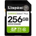 KINGSTON-SDS3/256GB