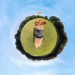 Insta360-CINSBAVZ