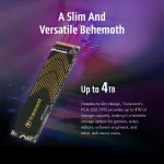 Transcend-TS500GMTE245S