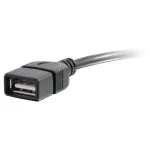 C2G-52119